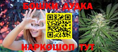 гашик Дубна