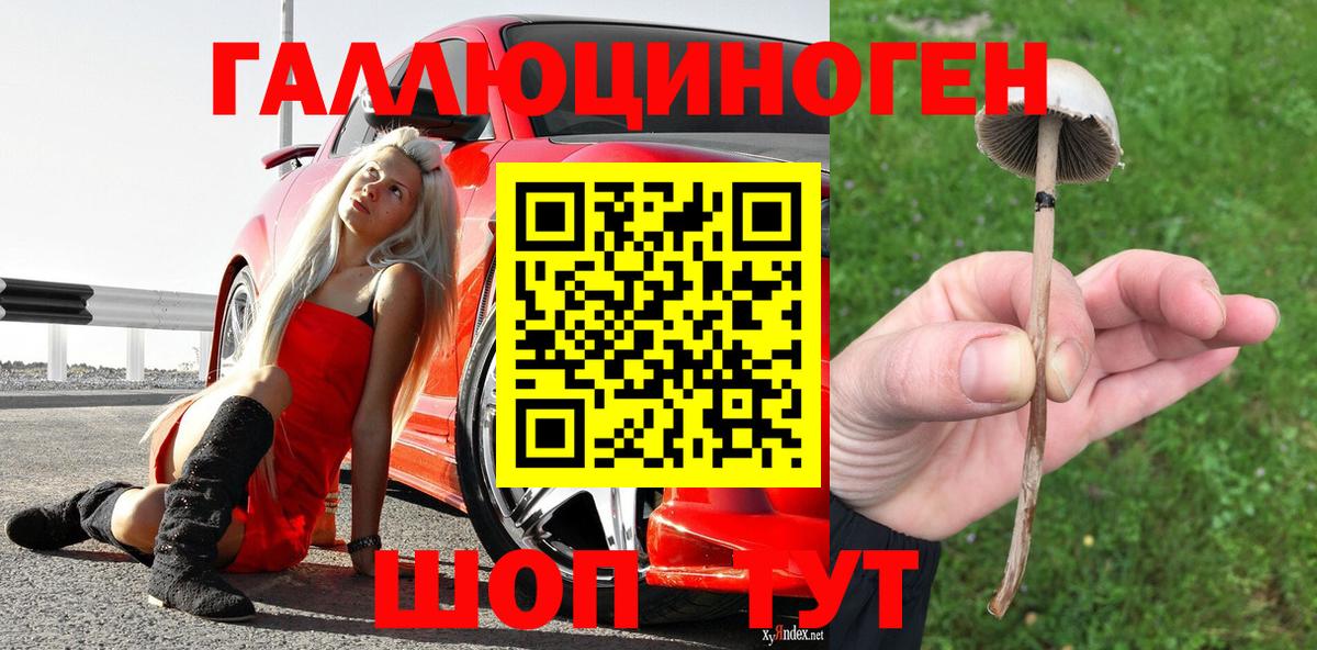Заречный  Галлюциногенные грибы GOLDEN TEACHER  Галлюциногенные грибы прущие грибы  Вход с VPN 