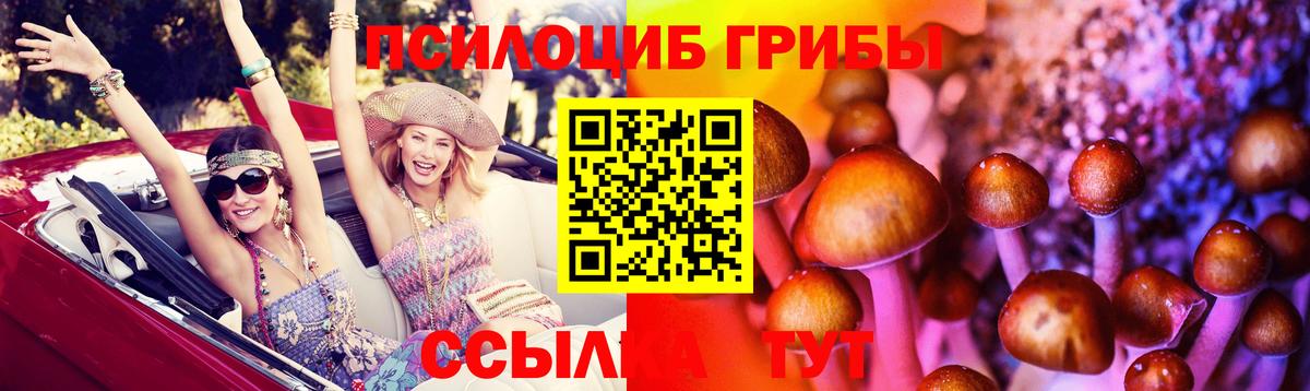 Псилоцибиновые грибы прущие грибы Заречный