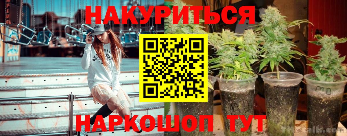Бошки Шишки Ganja  Конопля Amnesia  Заречный  Бошки марихуана индика  МАРИХУАНА THC 21%  Вход с VPN 